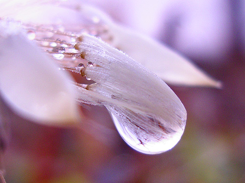 a0013879_21410100.jpg