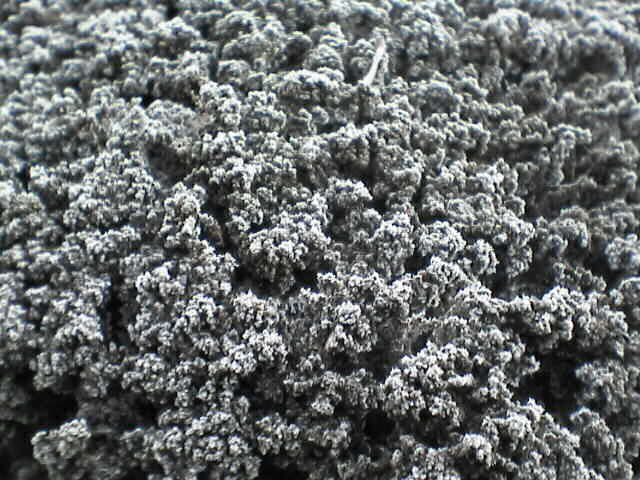 c0069380_10404186.jpg