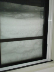 e0033384_12332129.jpg