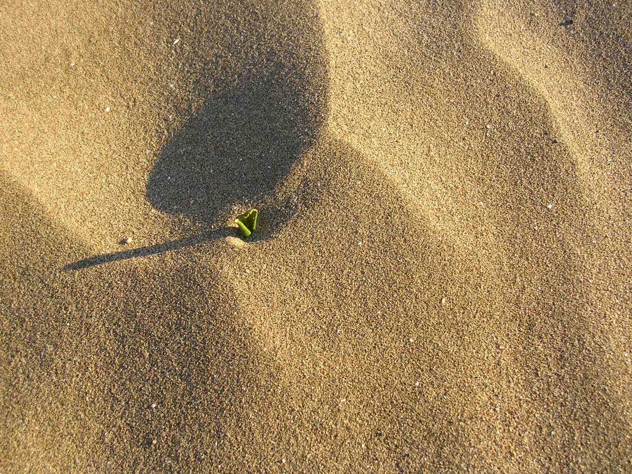 d0074688_03055100.jpg