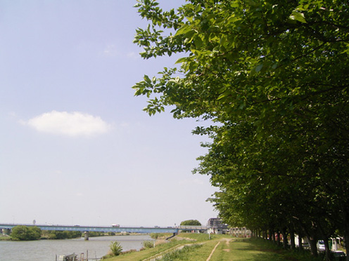 e0043700_20461421.jpg