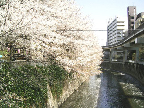 e0043700_20502992.jpg
