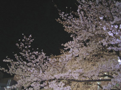 e0043700_20522231.jpg