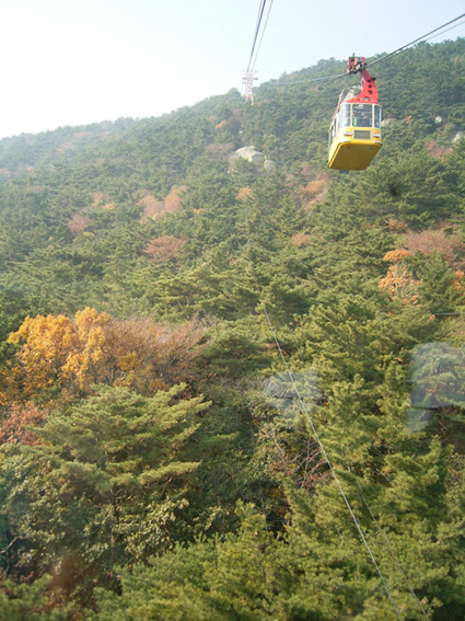 e0043700_21354320.jpg
