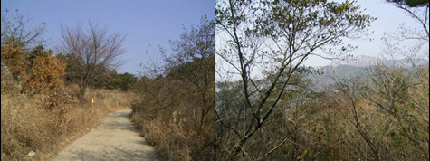 e0043700_21371988.jpg