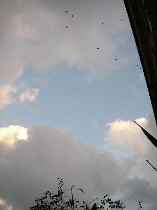 f0133814_13573127.jpg
