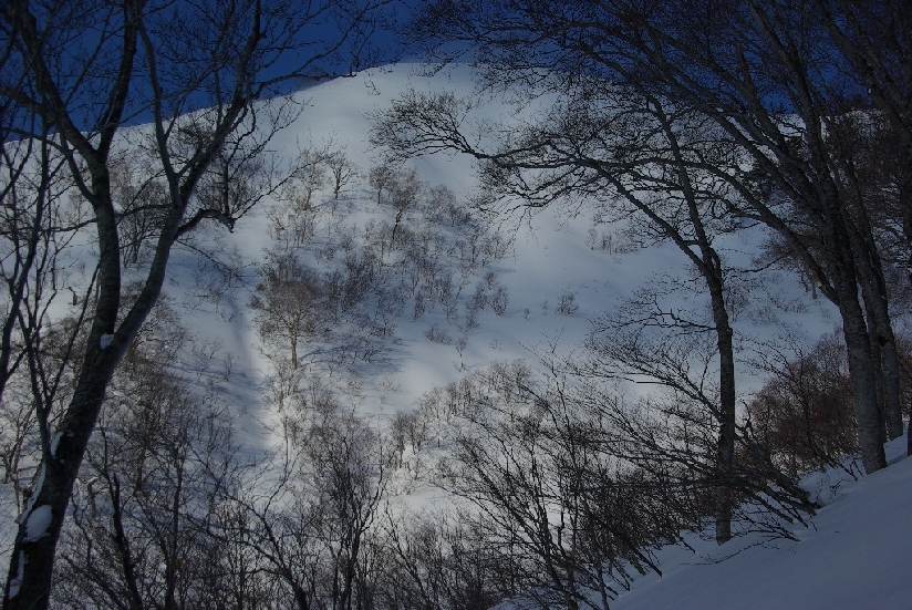 b0062024_23584961.jpg