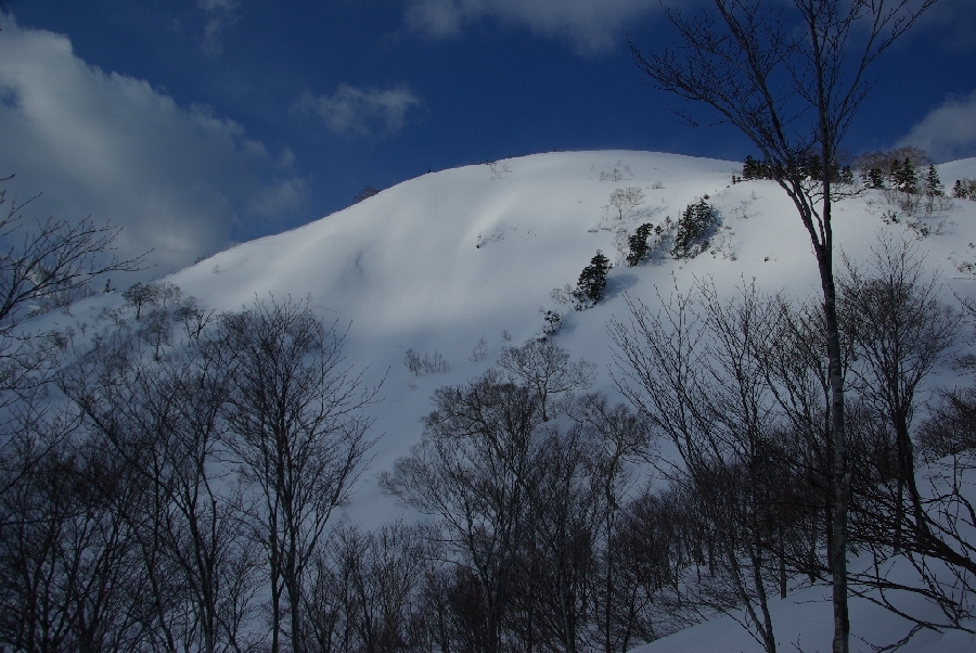 b0062024_2359240.jpg