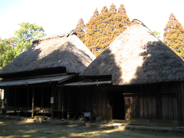 d0147727_202331.jpg