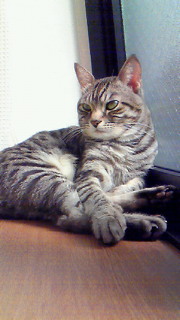 c0125532_1305879.jpg