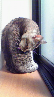 c0125532_1305882.jpg