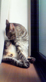 c0125532_1305891.jpg