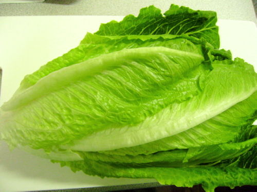 f0175434_0141715.jpg