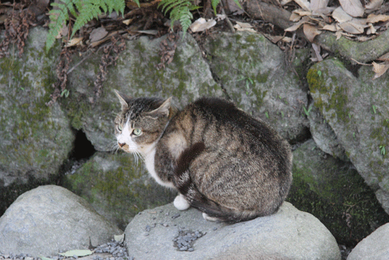 d0069235_19555029.gif