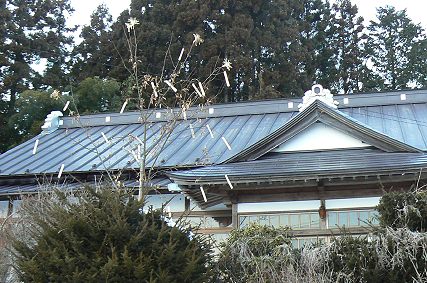 f0147037_2226037.jpg