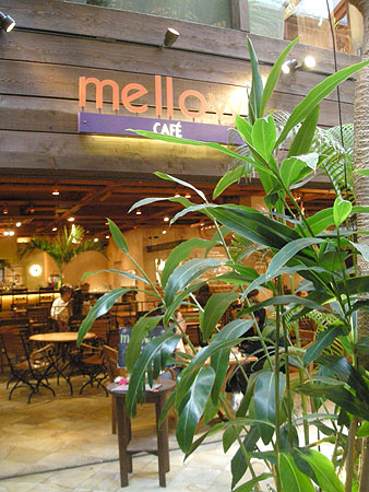 mellow cafe