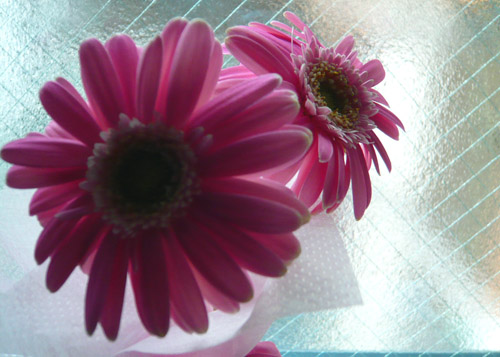 c0131544_2257656.jpg