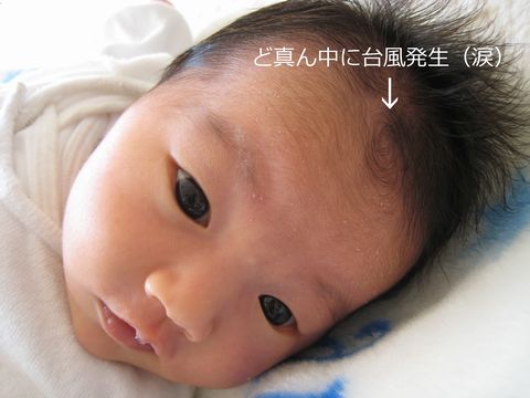 a0090451_2325092.jpg