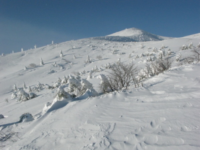 e0070552_23473310.jpg