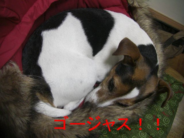 f0053952_1355646.jpg