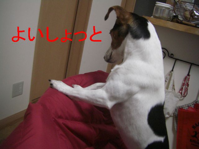 f0053952_13572440.jpg