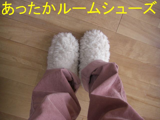 f0053952_1412232.jpg