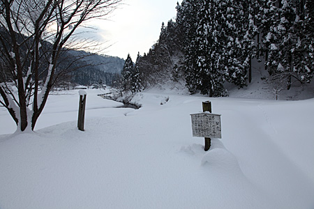e0113053_22524252.jpg