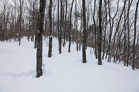 e0113053_22533488.jpg
