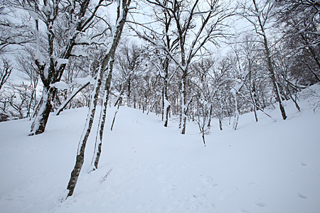 e0113053_22575144.jpg
