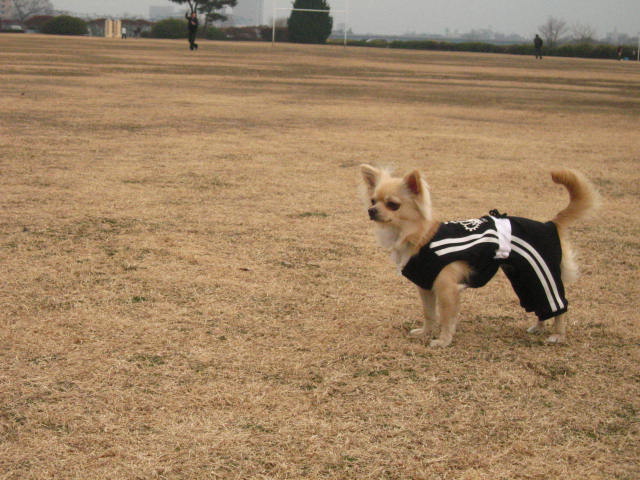 d0070473_13302628.jpg