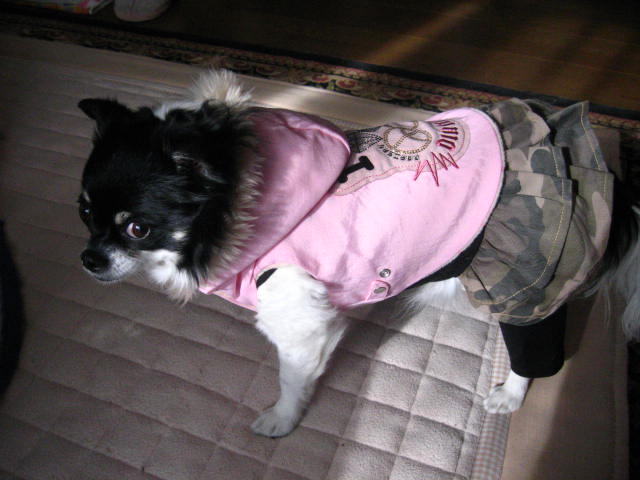 d0070473_14137100.jpg