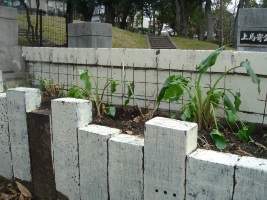 f0153383_1811473.jpg
