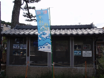 c0105785_10235896.jpg
