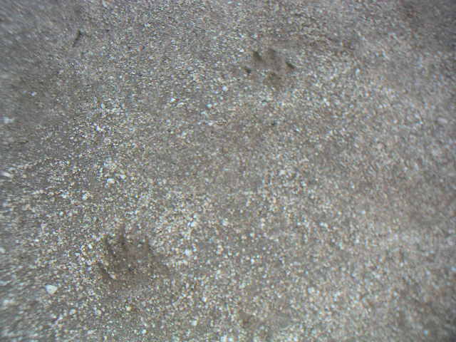 c0173896_23332010.jpg