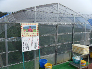 b0157300_2113614.jpg