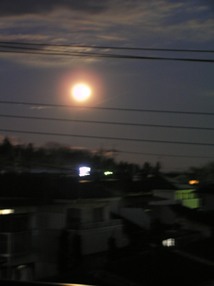 f0109900_11482292.jpg