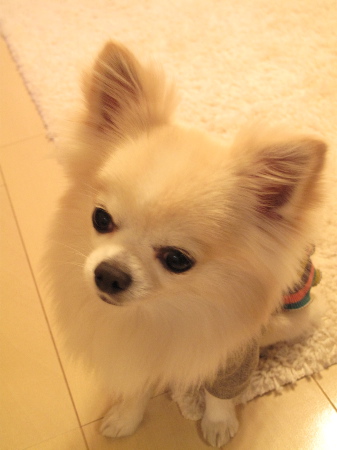 a0079803_0283143.jpg