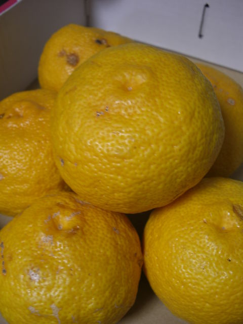 f0169509_16361186.jpg