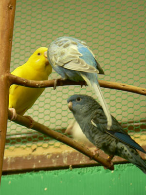 e0148120_041174.jpg