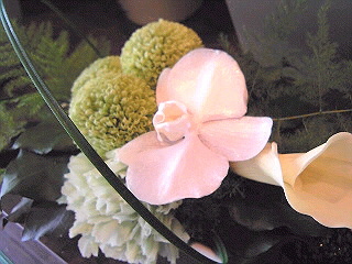a0052621_2358612.jpg