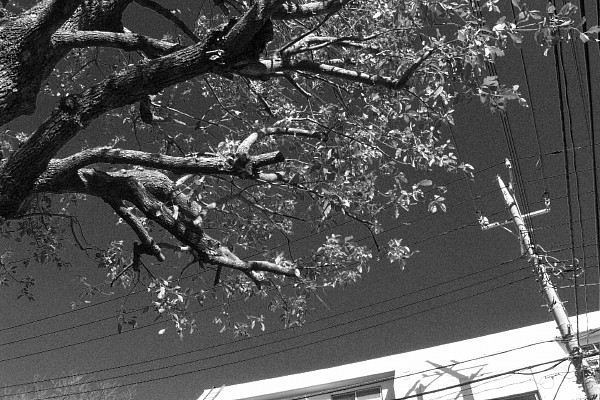 c0109827_19193220.jpg