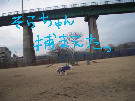 f0176830_18114475.jpg