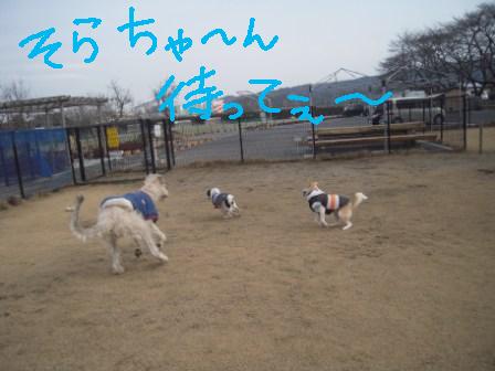 f0176830_1895527.jpg