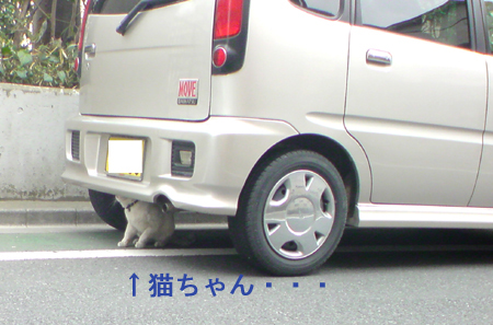 c0117831_20242225.jpg