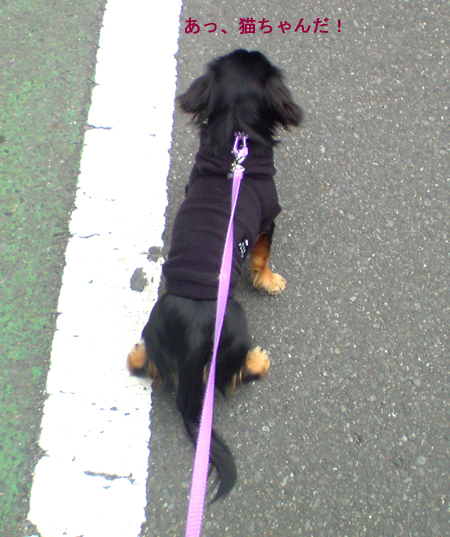 c0117831_2024997.jpg