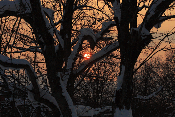 d0069235_19231933.gif