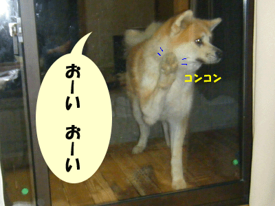 f0008935_15451434.gif