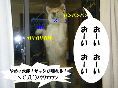 f0008935_154532100.gif