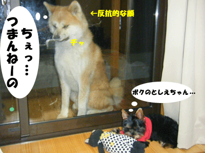 f0008935_15454299.gif