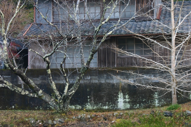 e0083238_20115540.jpg